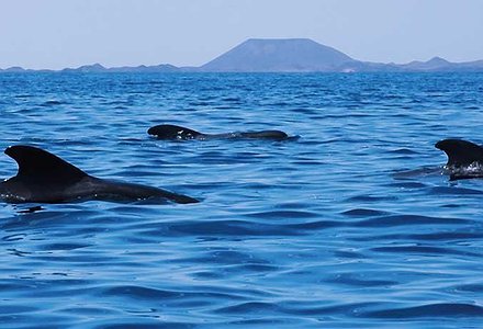 CONSERVAR NUESTROS PARAÍSOS MARINOS